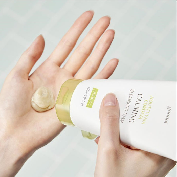 Houttuynia Cordata Calming Cleansing Foam - Korean-Skincare