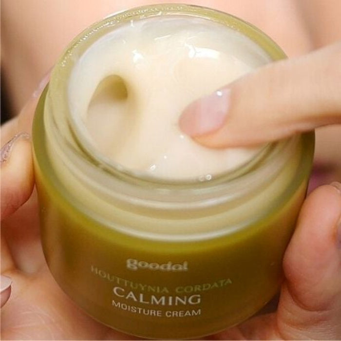 Houttuynia Cordata Calming Moisture Cream - Korean-Skincare