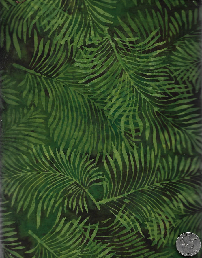 Jungle 69