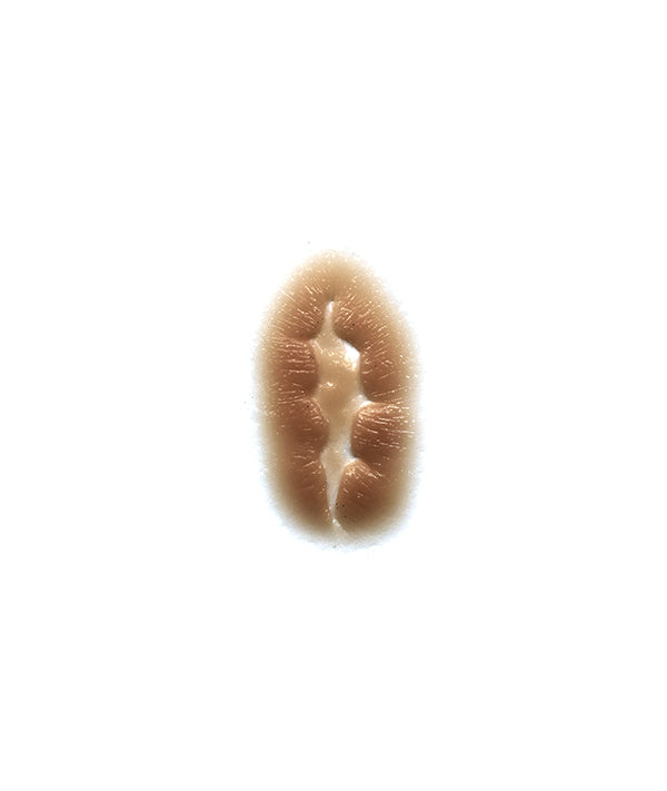 Period Scar 2