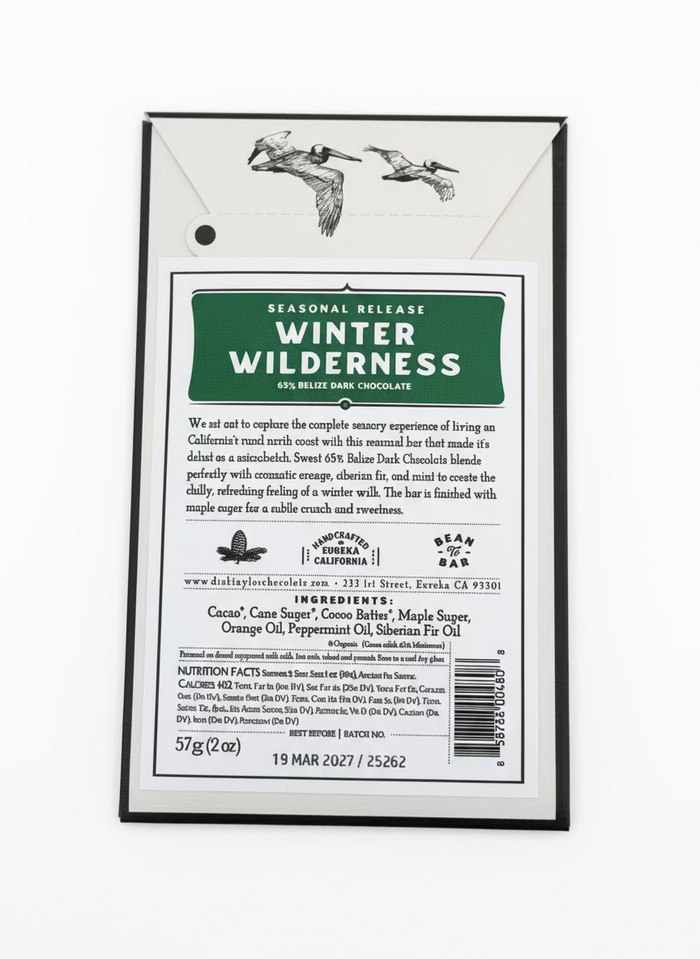 Dick Taylor Winter Wilderness