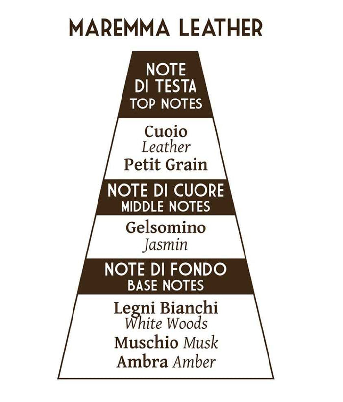Maremma Leather fragrance note diagram for shaving soap scent profile