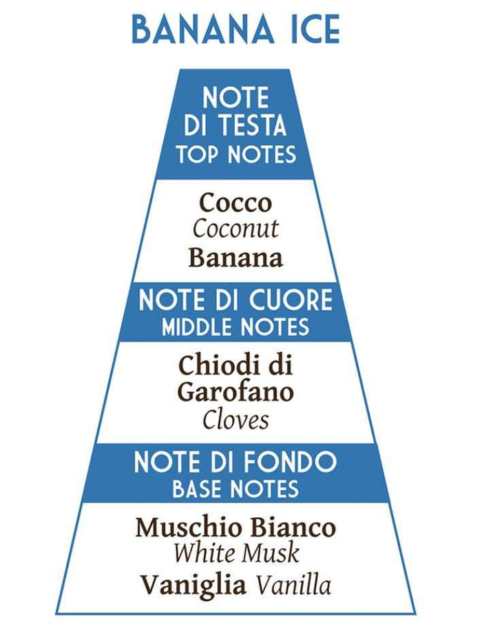 Banana Ice fragrance top and middle notes diagram with coconut and vanilla
