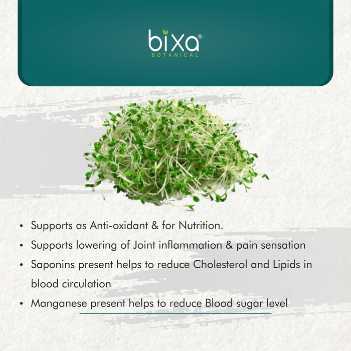 Alfalfa Herb Powder ( Medicago Sativa )