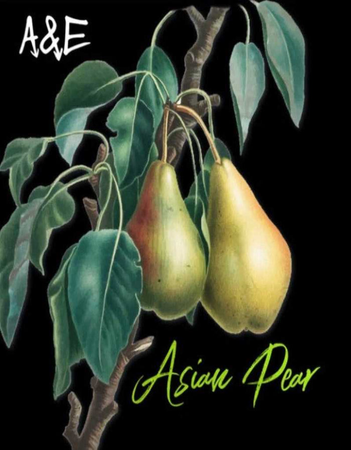 Pear tree illustration with Asian Pears and leaves for aftershave branding