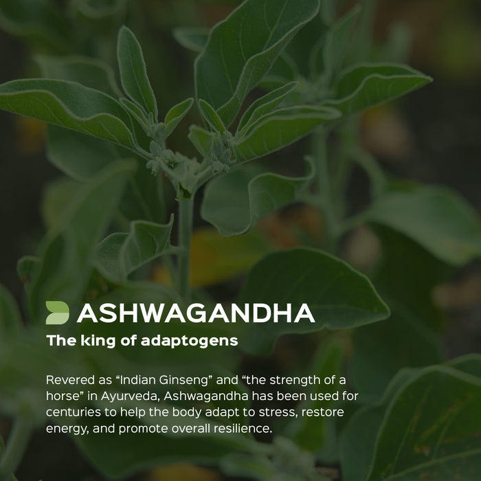 Ashwagandha Root Powder ( Withania Somnifera)