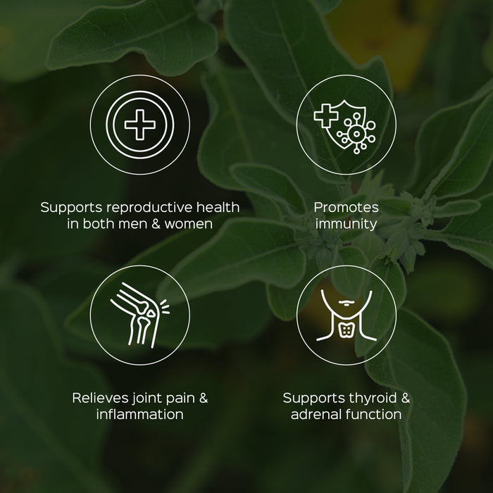 Ashwagandha Root Powder ( Withania Somnifera)