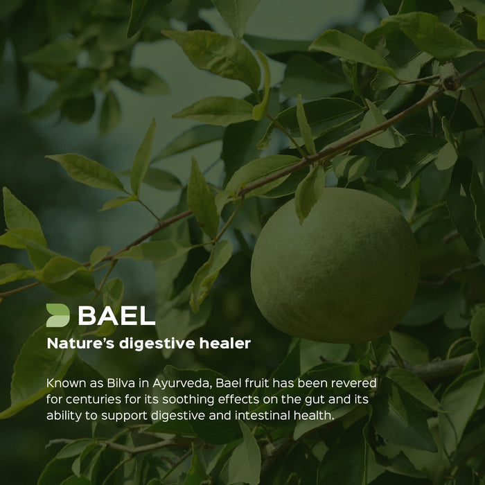Bael Fruit Powder ( Aegle Marmelos )
