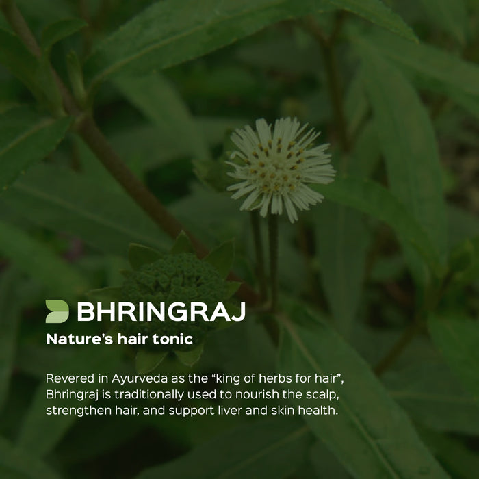 Bhringaraj Herb Powder ( Eclipta Alba )