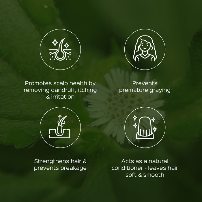 Bhringaraj Herb Powder ( Eclipta Alba )