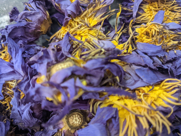 Blue Lotus ( hand picked in Sri Lanka)