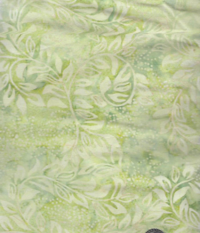 Celery 38