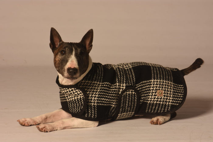 Chilly Dog Black and White Coat