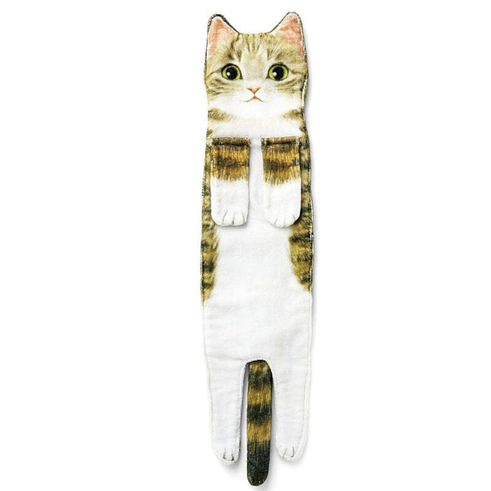 Tabby cat