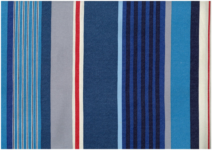 Dynamic Stripes Oxford Canvas in Blue Multi