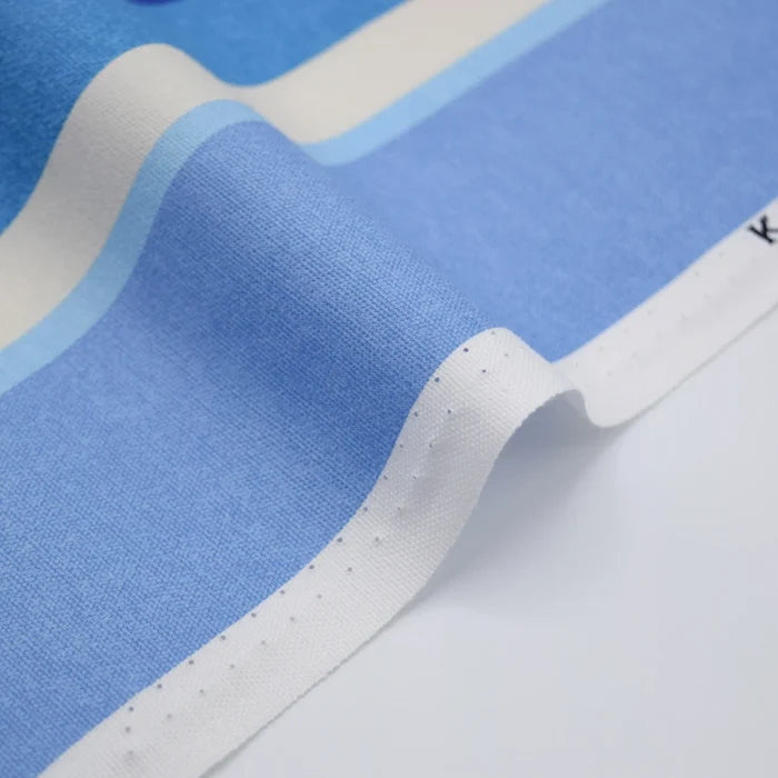Dynamic Stripes Oxford Canvas in Blue Multi