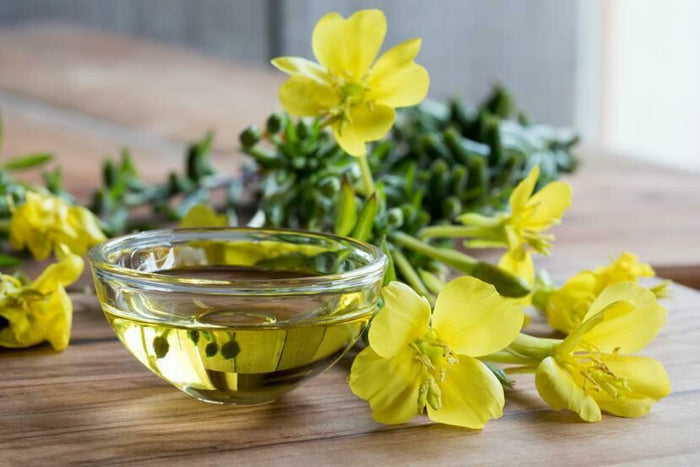 Evening Primrose oil (30 ml) - زيت زهرة الربيع المسائية