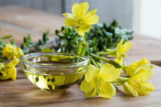 Evening Primrose oil (30 ml) - زيت زهرة الربيع المسائية