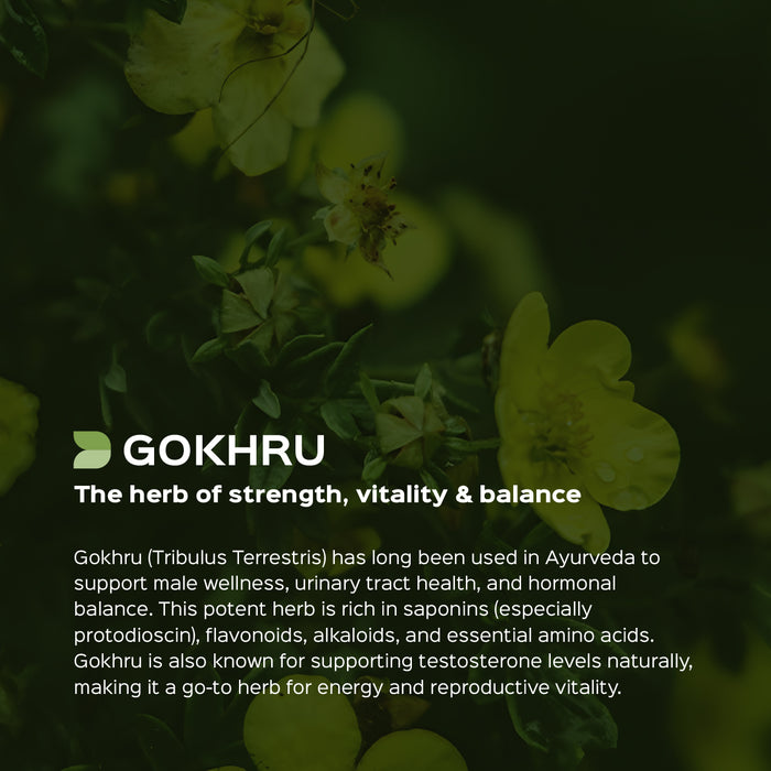 Gokhru Fruit Powder ( Tribulus Terresteris )