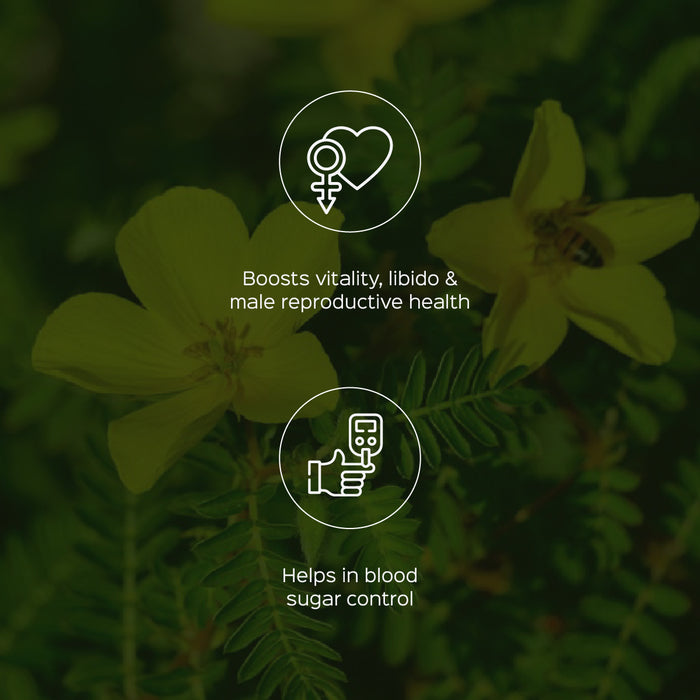 Gokhru Fruit Powder ( Tribulus Terresteris )