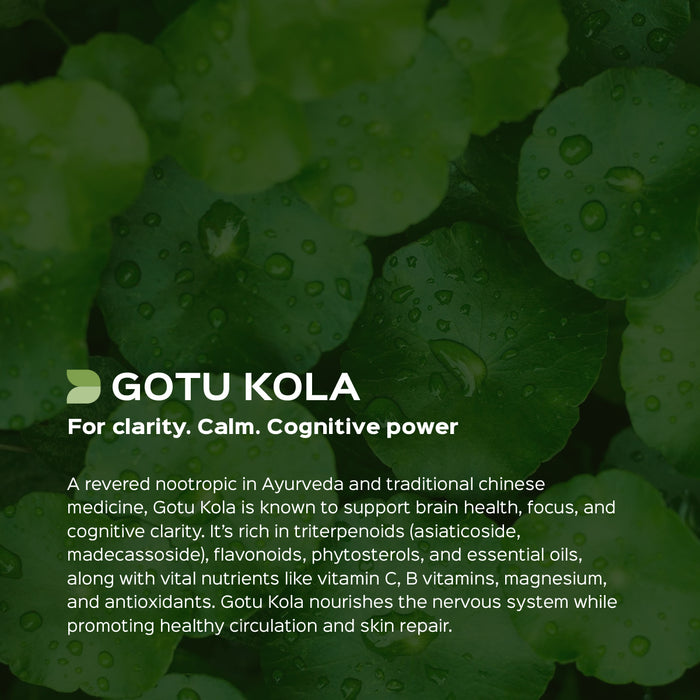 Gotukola Herb Powder ( Centella Asiatica )