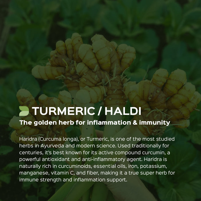 Haldi Root Powder ( Curcuma Longa )