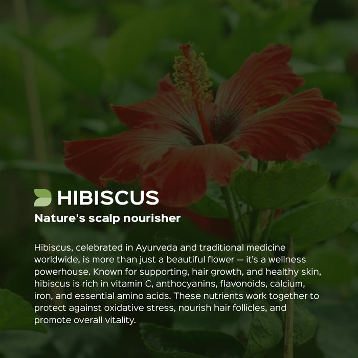 Hibiscus Flower Powder ( Hibiscus Sabdariffa )