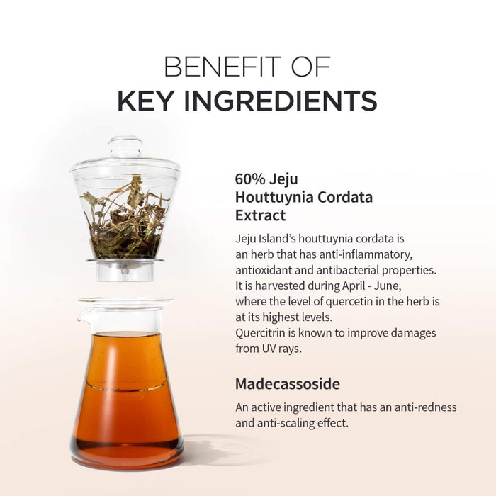 Houttuynia Cordata Calming Moisture Cream - Korean-Skincare