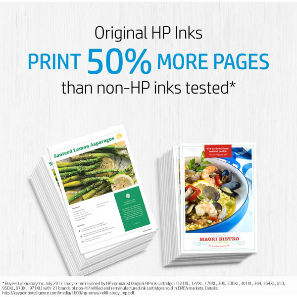 HP 300XL High Yield Black Original Ink Cartridge - CC641EE Past Best Expiry Date
