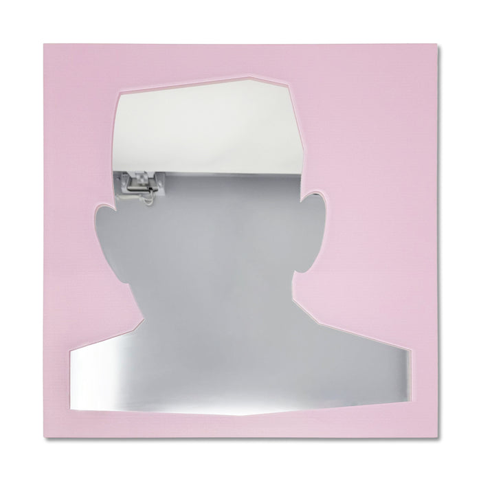 IGOR Mirror