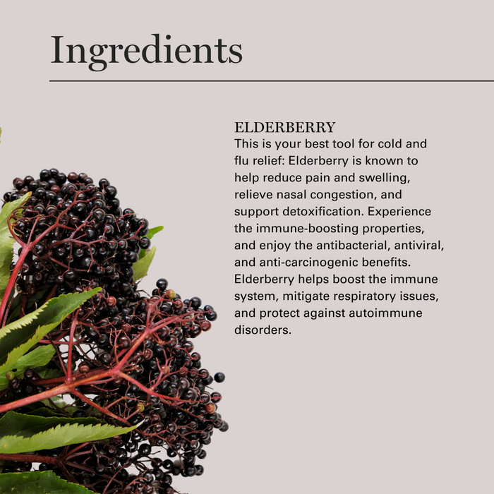 Elderberry ingredient information with fresh berries and leaves on beige background highlighting immune-boosting benefits.