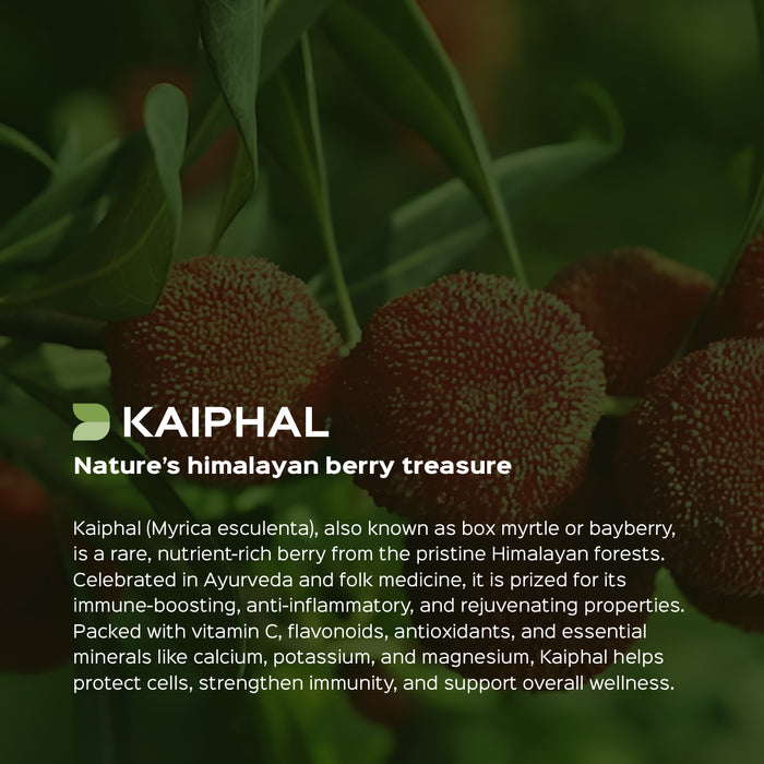 Kaiphal Bark Powder ( Myrica Nagi )