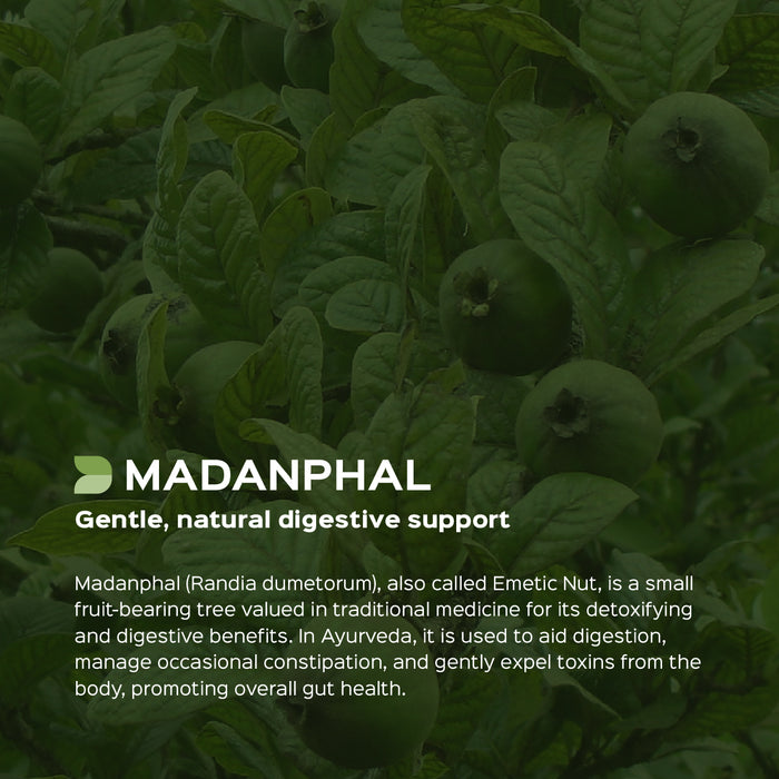 Madanphal Fruit Powder ( Randia Dumetorum )