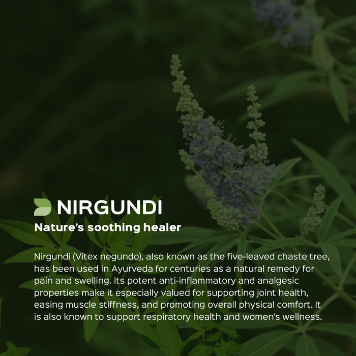 Nirgundi Leaves Powder ( Vitex Negundo )