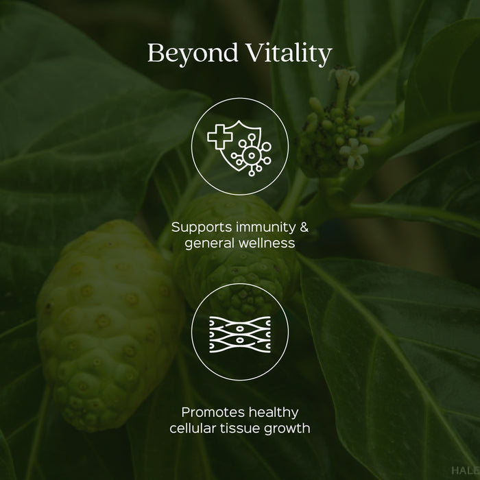 Noni Fruit Powder ( Morinda Tinctoria )