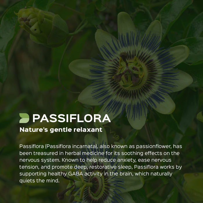 Passiflora Herb Powder ( Passiflora Foetida )