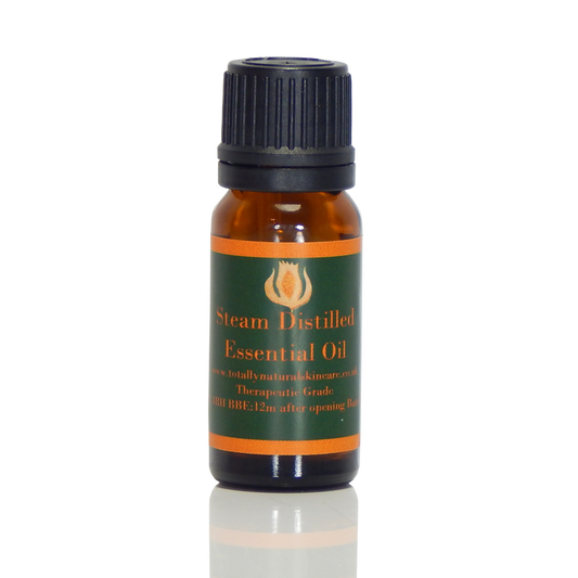 Patchouli Organic Essential Oil (Pogostemon Patchouli)