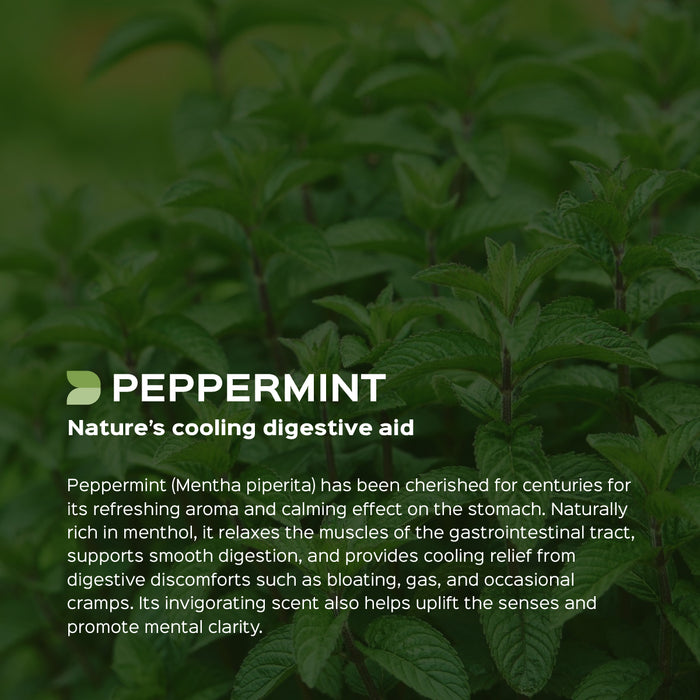 Peppermint Leaves Powder ( Mentha Piperita )