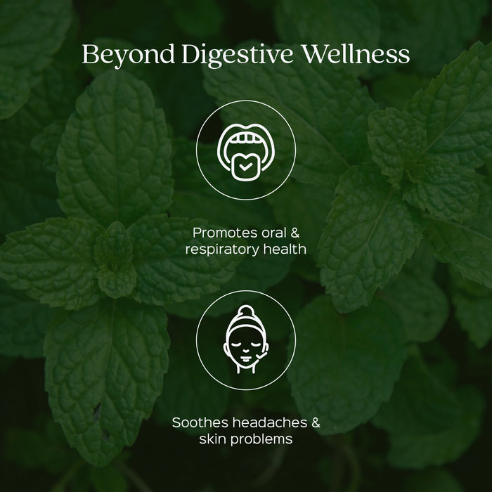 Peppermint Leaves Powder ( Mentha Piperita )