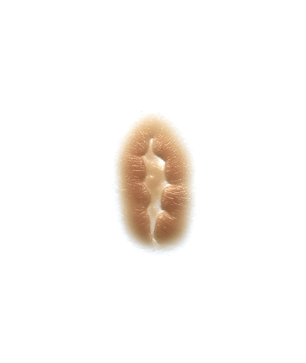 Period Scar 2