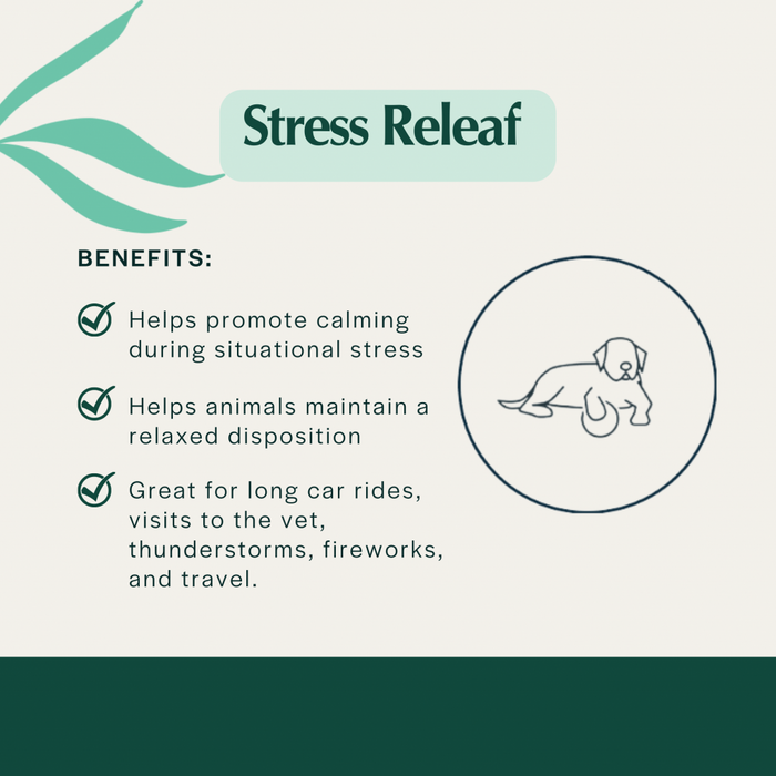 Pet Releaf Stress Releaf Edibites – PB Carob