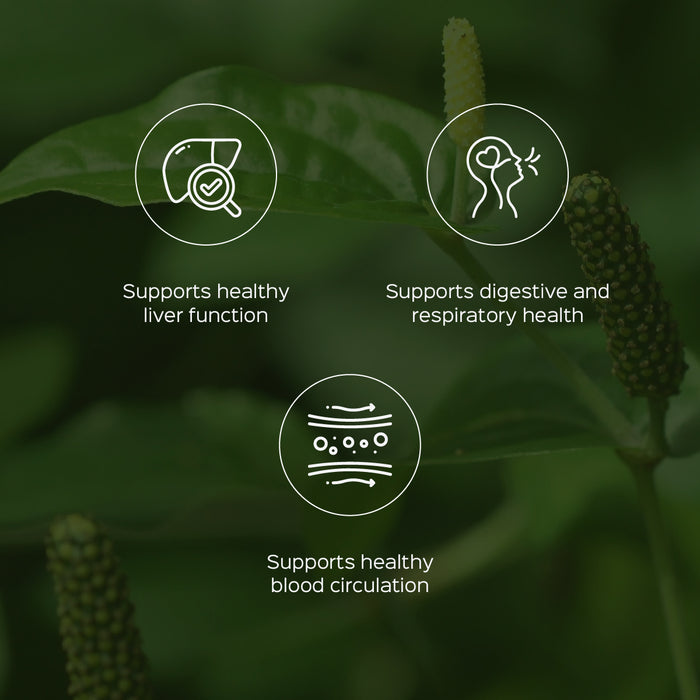 Pippalamul Root Powder ( Piper Longum Root )