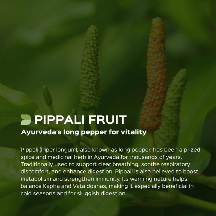 Pippali Fruit Powder ( Piper Longum )