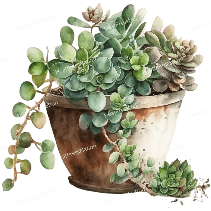Plant in Pot Design - HeatPressNation