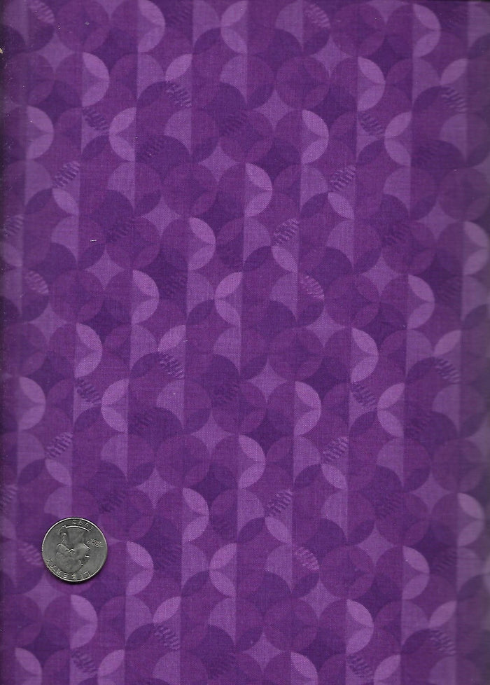 Pouncy Purple