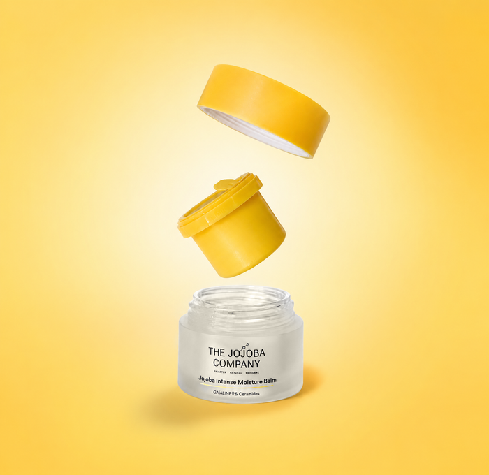 Refill & Repair Duo