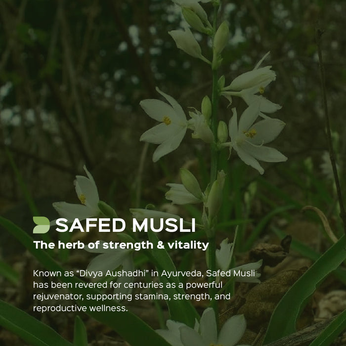Safed Musli Extract 60 Veg Capsules (450mg) 30% Saponin