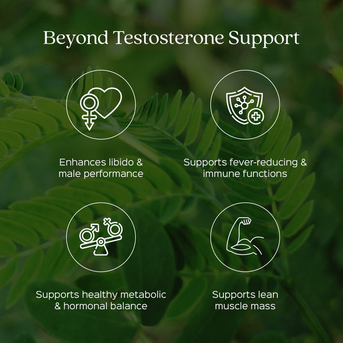 Tongkat Ali Root Powder ( Eurycoma longifolia )