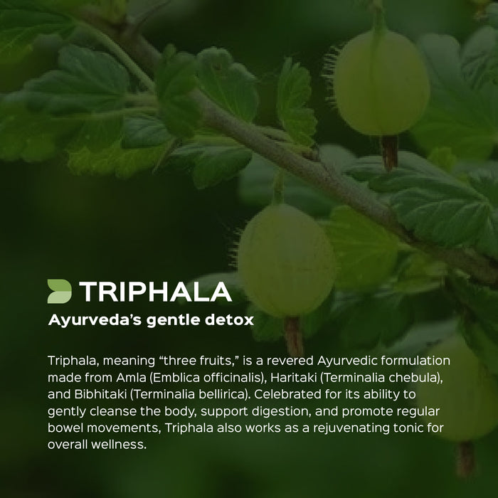 Triphala Fruit Powder ( Amla + Haritaki + Bibhitaki )