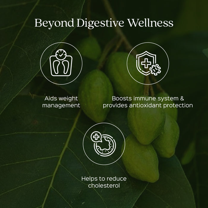 Triphala Fruit Powder ( Amla + Haritaki + Bibhitaki )